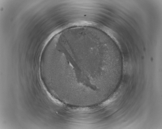 X0000062140845200512091213