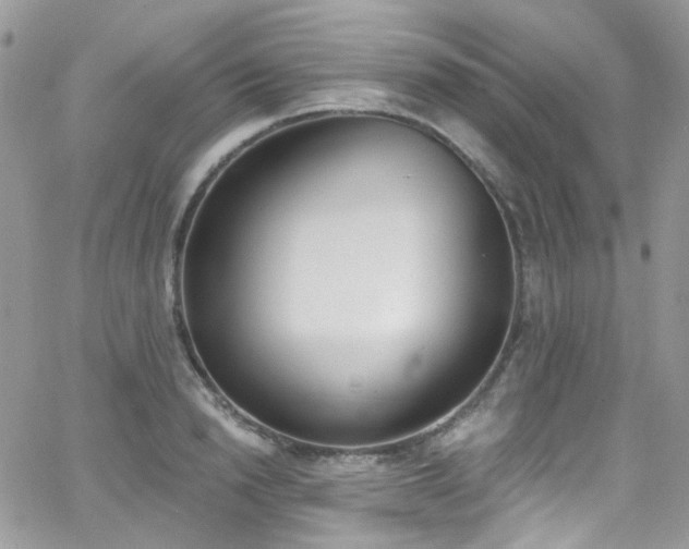 X0000062140846200512091213