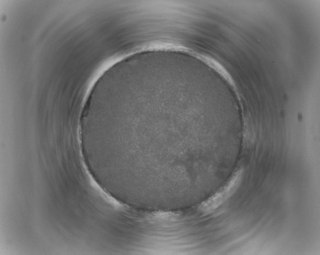 X0000062140847200512091213