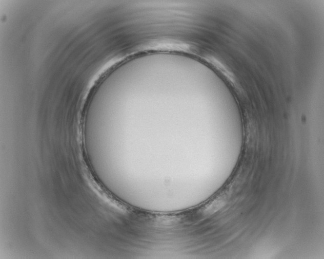 X0000062140848200512091213