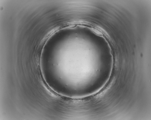 X0000062140849200512091213