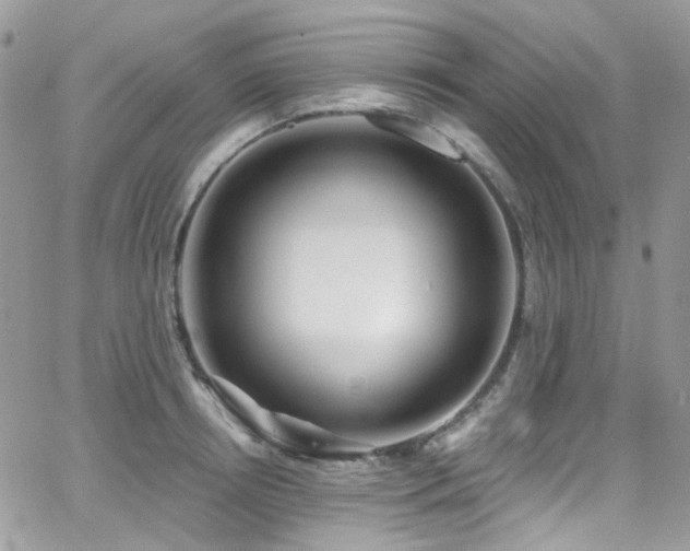 X0000062140850200512091213