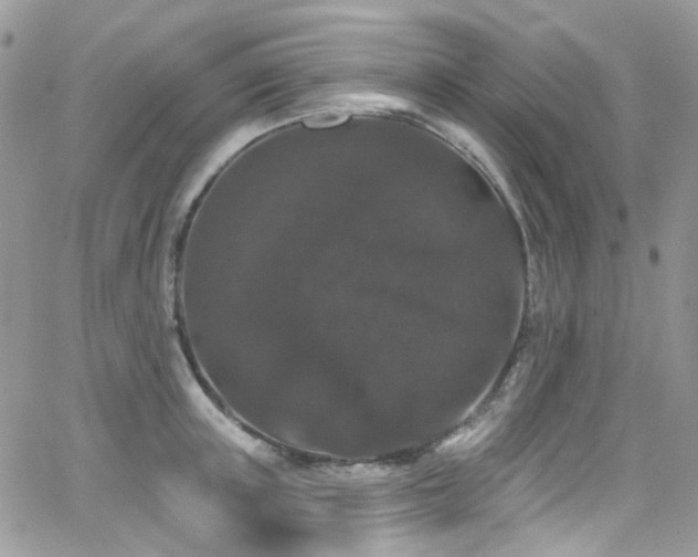 X0000062140851200512091213