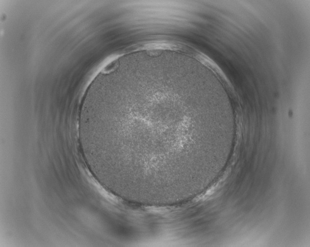 X0000062140852200512091213