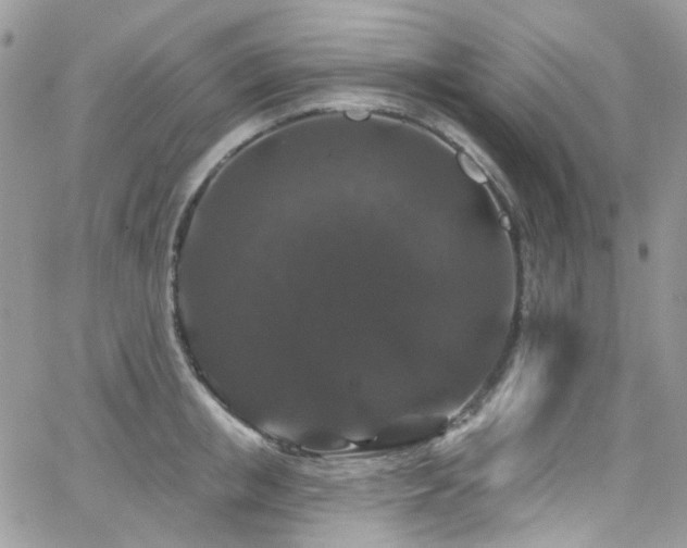 X0000062140853200512091213