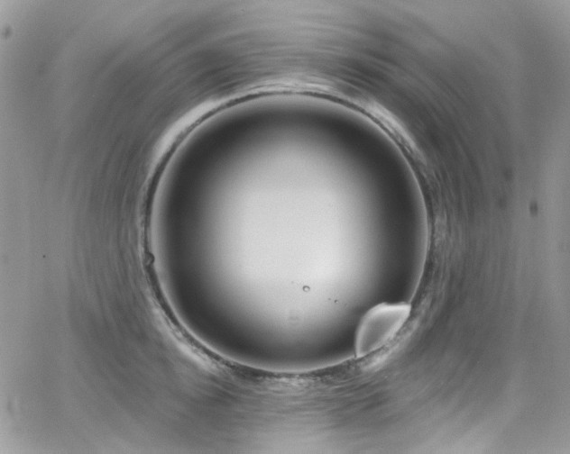 X0000062140854200512091213