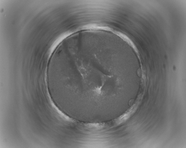 X0000062140855200512091213