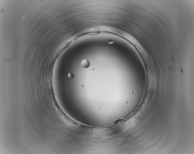 X0000062140857200512091213