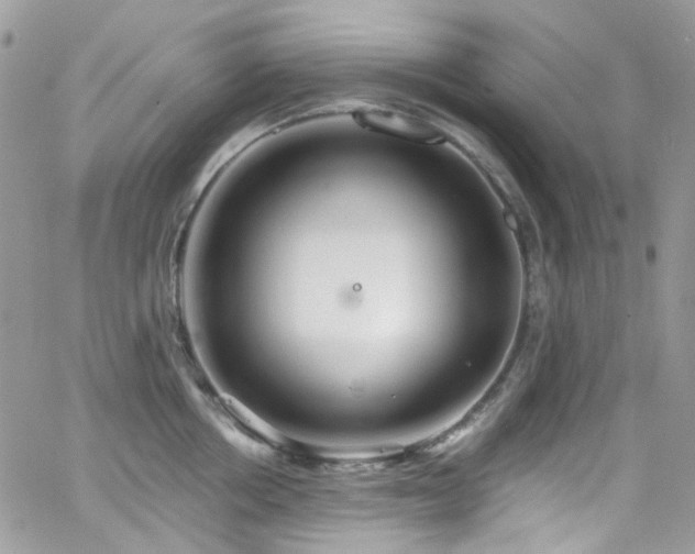 X0000062140858200512091213