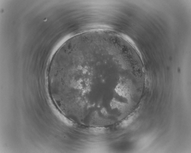 X0000062140859200512091213