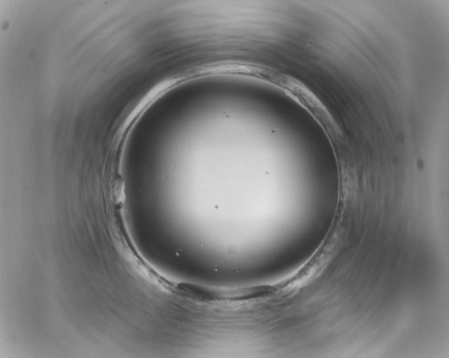 X0000062140860200512091213