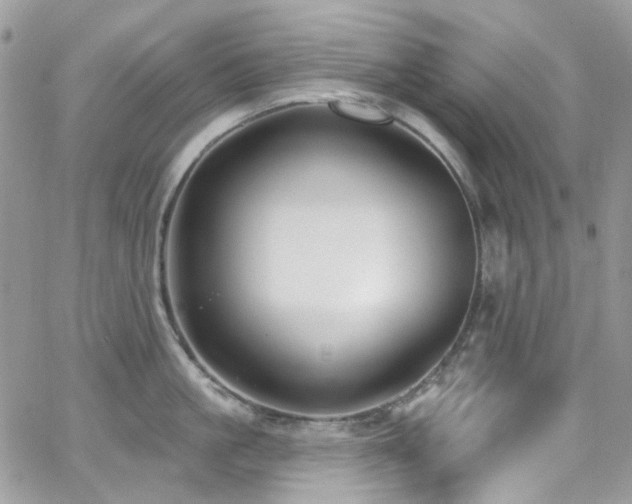 X0000062140861200512091213