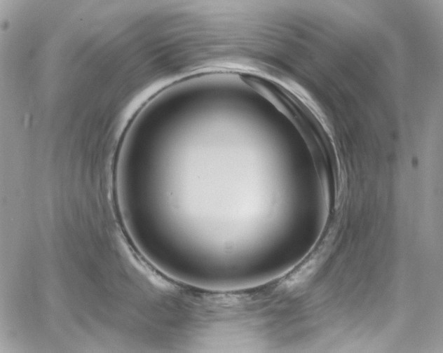 X0000062140862200512091213