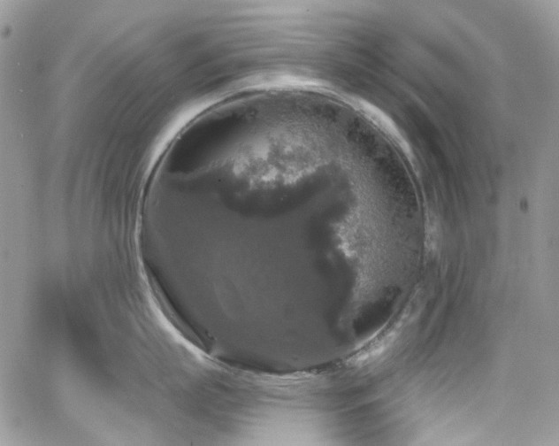 X0000062140863200512091213