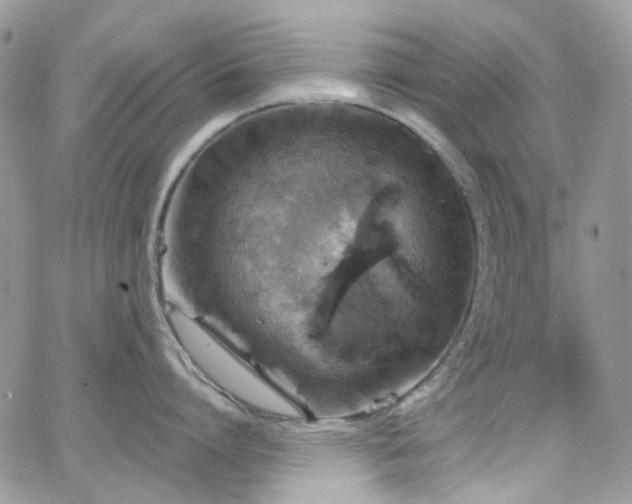 X0000062140864200512091213