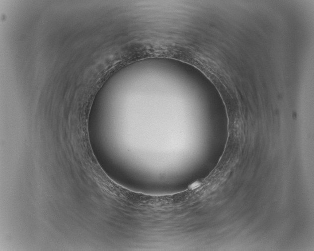 X0000062140865200512091212