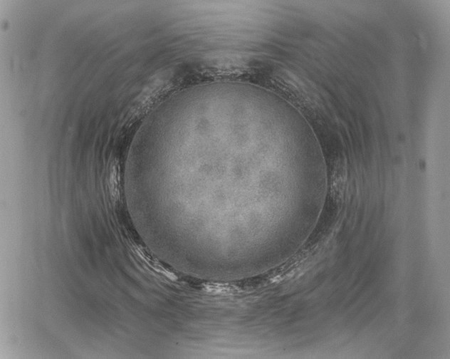 X0000062140866200512091212