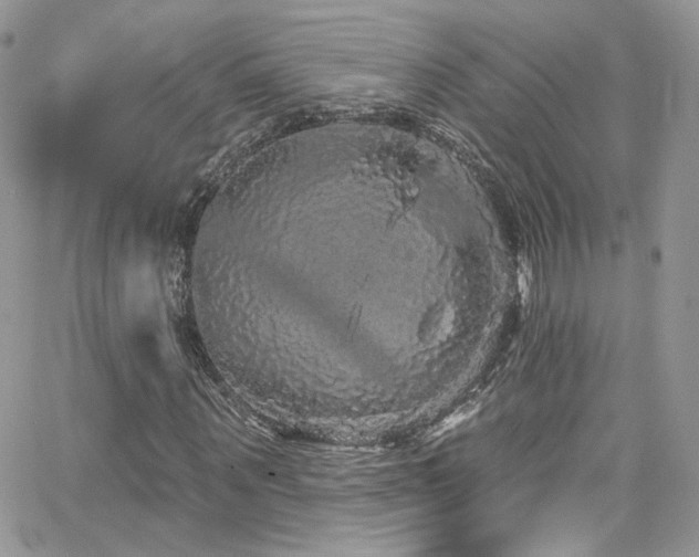 X0000062140867200512091212