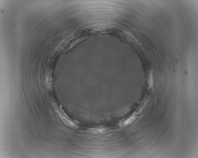 X0000062140868200512091212