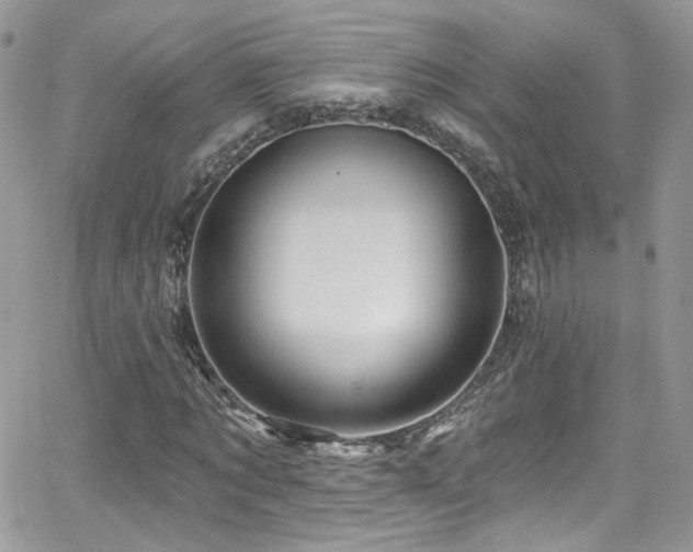 X0000062140869200512091212