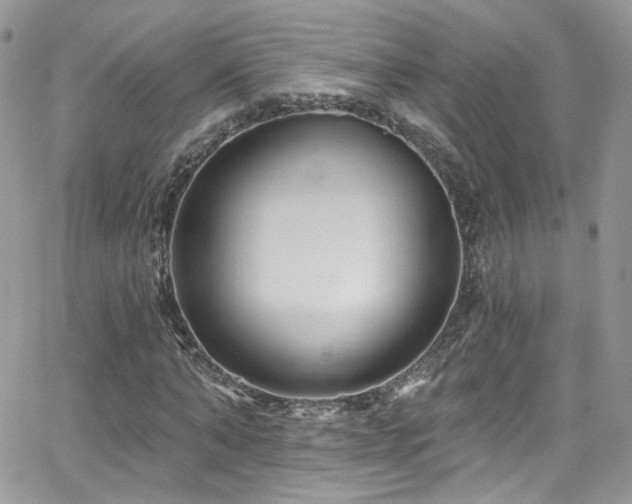 X0000062140870200512091212