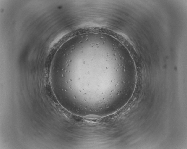 X0000062140871200512091212