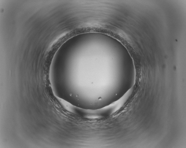 X0000062140872200512091212