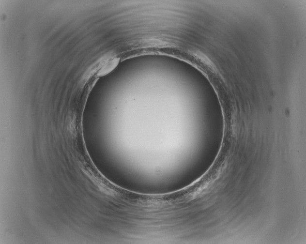 X0000062140873200512091212