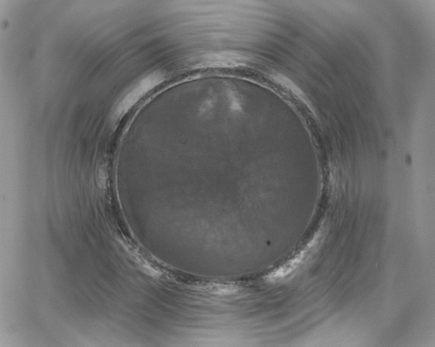 X0000062140874200512091212