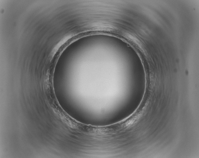 X0000062140875200512091212