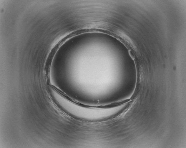 X0000062140876200512091212