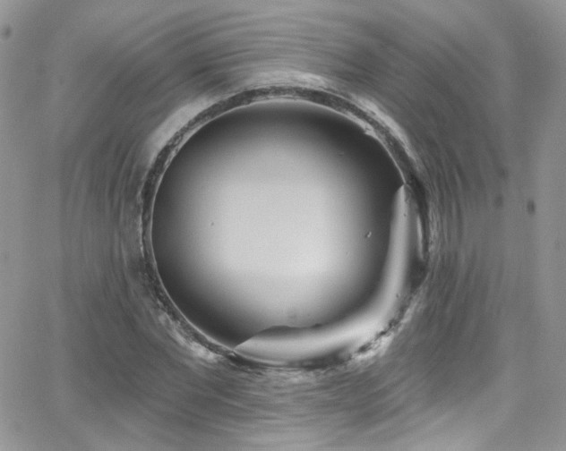 X0000062140877200512091212