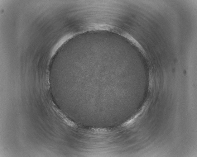 X0000062140878200512091212