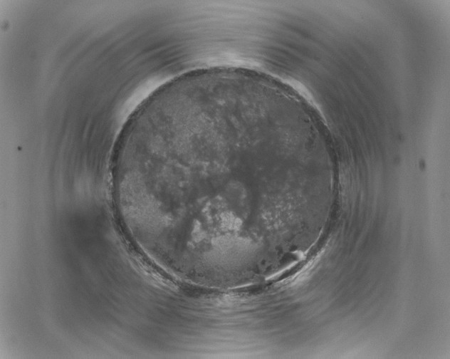 X0000062140879200512091212