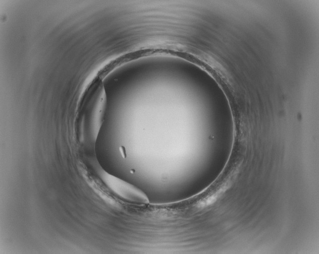 X0000062140880200512091212