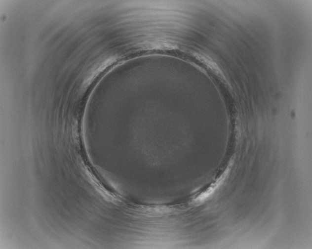 X0000062140881200512091212