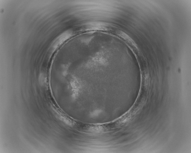 X0000062140882200512091212