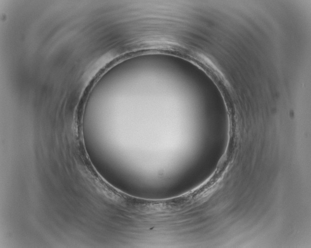 X0000062140883200512091212