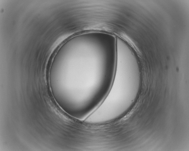 X0000062140884200512091212