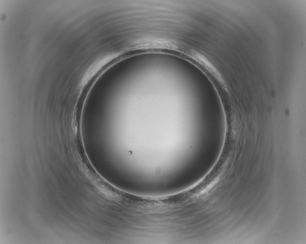 X0000062140885200512091212