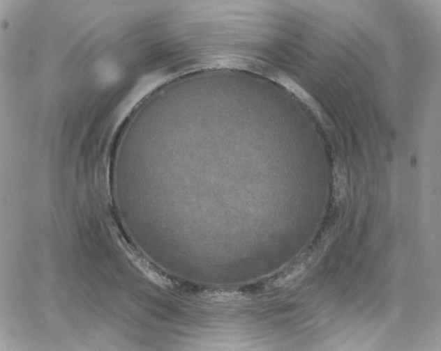 X0000062140886200512091212