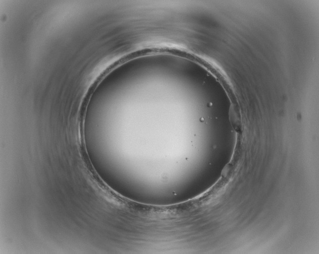 X0000062140887200512091212