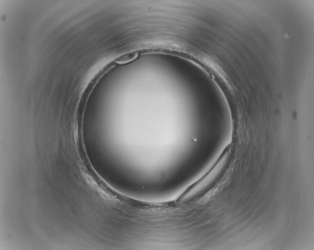 X0000062140888200512091212