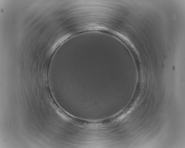 X0000062140889200512091212