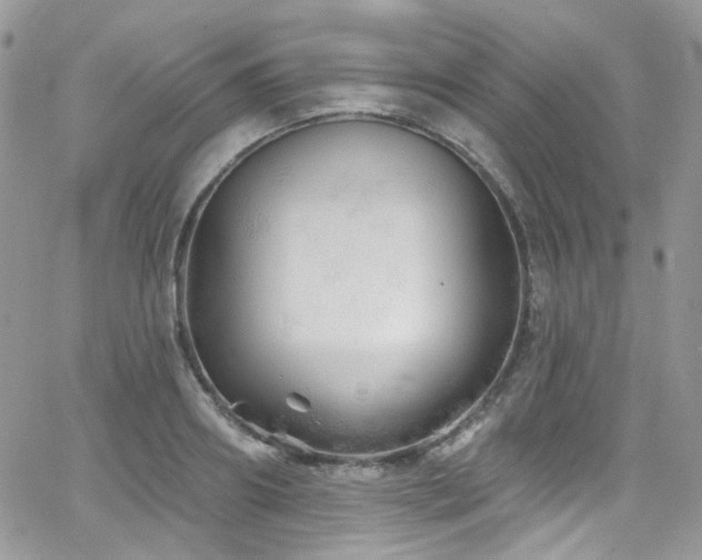 X0000062140890200512091212