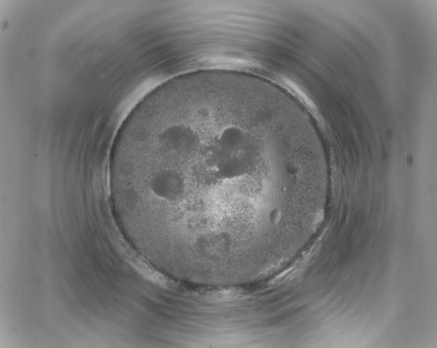 X0000062140891200512091212