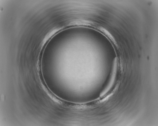 X0000062140893200512091212