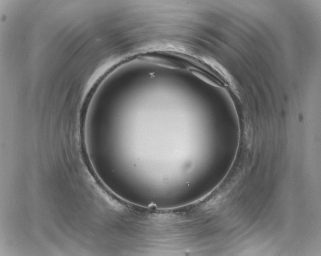 X0000062140894200512091212