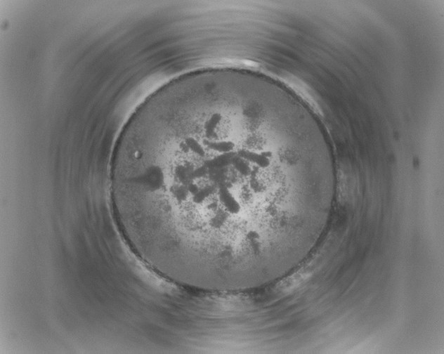 X0000062140895200512091212