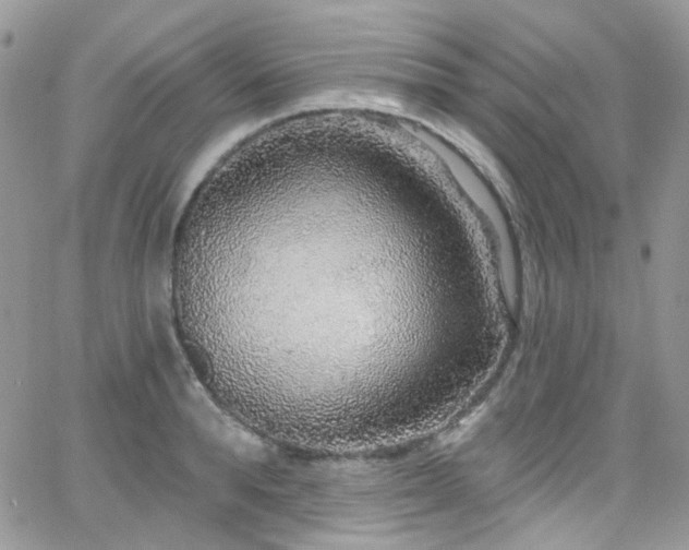 X0000062140896200512091212